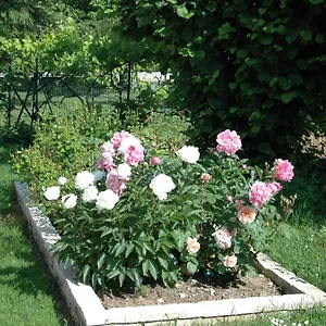 Le Jardin De Roses Dominique Loreau France